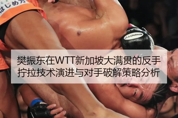 樊振东在WTT新加坡大满贯的反手拧拉技术演进与对手破解策略分析